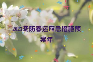 2023冬防春运应急措施预案年