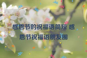 感恩节的祝福语简短 感恩节祝福语朋友圈