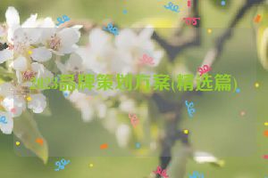 2023品牌策划方案(精选篇)