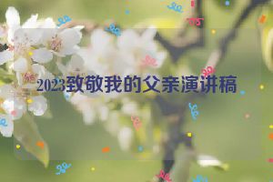 2023致敬我的父亲演讲稿