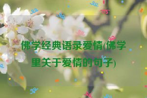 佛学经典语录爱情(佛学里关于爱情的句子)