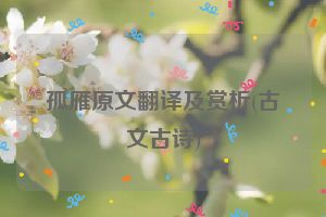 孤雁原文翻译及赏析(古文古诗)