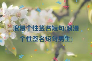 浪漫个性签名短句(浪漫个性签名短句男生)