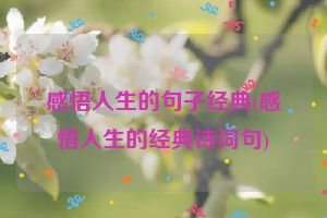 感悟人生的句子经典(感悟人生的经典诗词句)