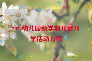 2023幼儿园新学期开展开学活动方案