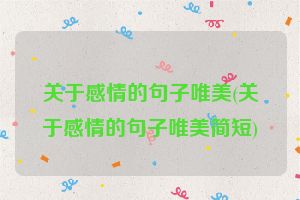 关于感情的句子唯美(关于感情的句子唯美简短)