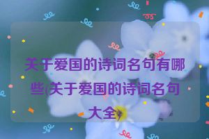 关于爱国的诗词名句有哪些(关于爱国的诗词名句大全)