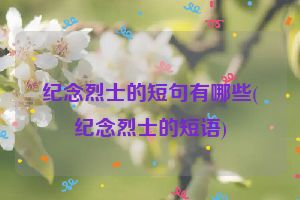 纪念烈士的短句有哪些(纪念烈士的短语)