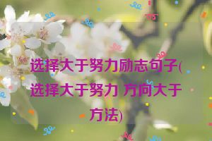 选择大于努力励志句子(选择大于努力 方向大于方法)