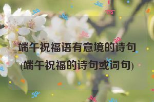 端午祝福语有意境的诗句(端午祝福的诗句或词句)