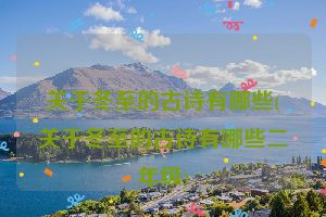关于冬至的古诗有哪些(关于冬至的古诗有哪些二年级)