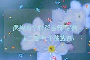 很拽的个性签名霸气(独一无二霸气个性签名)