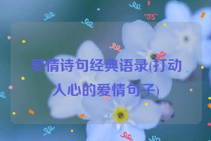 爱情诗句经典语录(打动人心的爱情句子)