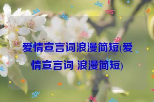 爱情宣言词浪漫简短(爱情宣言词 浪漫简短)
