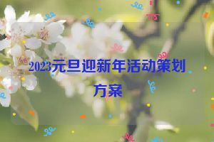 2023元旦迎新年活动策划方案