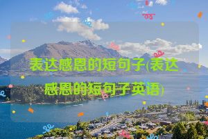 表达感恩的短句子(表达感恩的短句子英语)