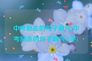 中考励志的句子霸气(中考励志的句子霸气12字)