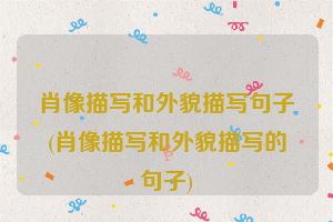 肖像描写和外貌描写句子(肖像描写和外貌描写的句子)