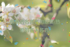 热爱的名言名句欣赏(热爱的名人名言)