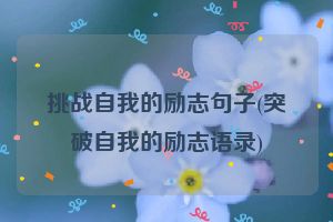 挑战自我的励志句子(突破自我的励志语录)