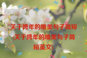 关于跨年的唯美句子简短(关于跨年的唯美句子简短英文)