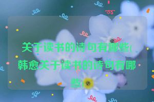 关于读书的诗句有哪些(韩愈关于读书的诗句有哪些)