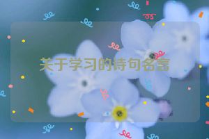 关于学习的诗句名言