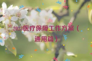 2023医疗保障工作方案（通用篇）