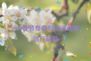2023春节专项慰问活动策划方案篇