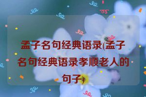 孟子名句经典语录(孟子名句经典语录孝顺老人的句子)