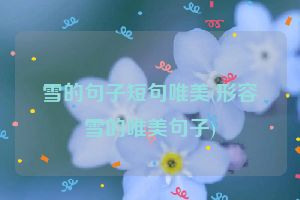 雪的句子短句唯美(形容雪的唯美句子)