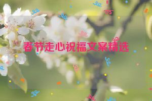 春节走心祝福文案精选