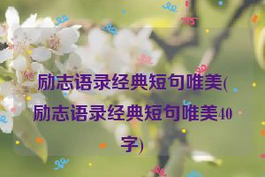 励志语录经典短句唯美(励志语录经典短句唯美40字)