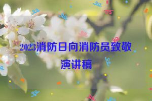 2023消防日向消防员致敬演讲稿