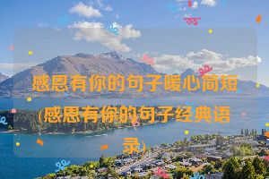 感恩有你的句子暖心简短(感恩有你的句子经典语录)