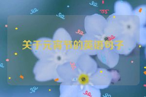 关于元宵节的英语句子