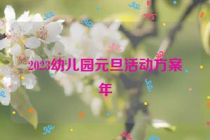 2023幼儿园元旦活动方案年