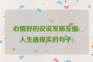 心情好的说说发朋友圈(人生最现实的句子)