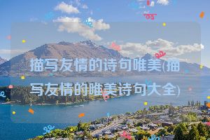 描写友情的诗句唯美(描写友情的唯美诗句大全)