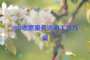 2023志愿服务活动工作方案