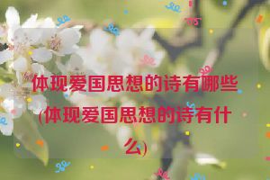 体现爱国思想的诗有哪些(体现爱国思想的诗有什么)