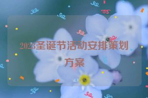 2023圣诞节活动安排策划方案