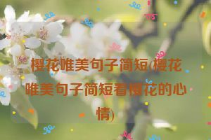 樱花唯美句子简短(樱花唯美句子简短看樱花的心情)