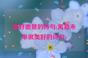 美好愿景的诗句(寓意未来很美好的诗句)