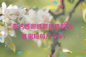 表达感谢感激感恩的话(感谢短句八个字)