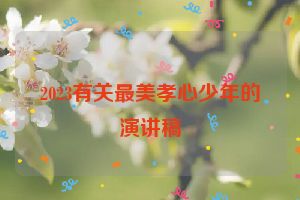 2023有关最美孝心少年的演讲稿