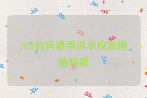2023台风暴雨洪水应急措施预案