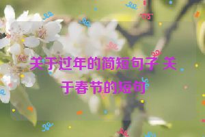 关于过年的简短句子 关于春节的短句