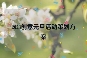 2023创意元旦活动策划方案