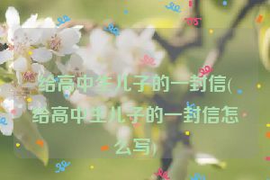 给高中生儿子的一封信(给高中生儿子的一封信怎么写)
